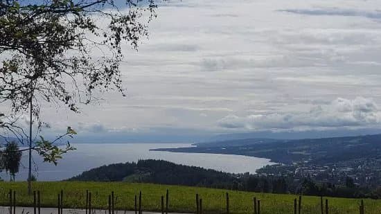 Eiktunet
