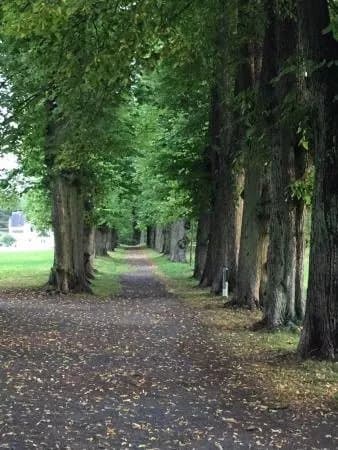 Nordre Skoyen Manor