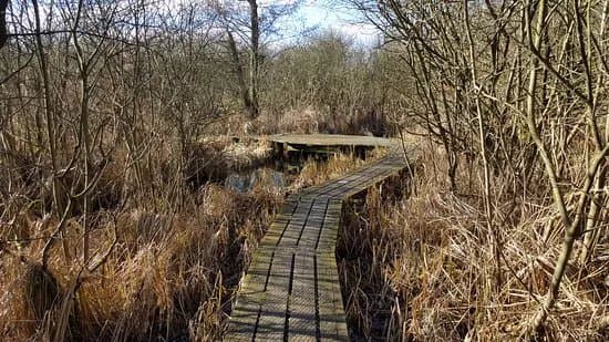 Ravnstrup so & Naturreservat