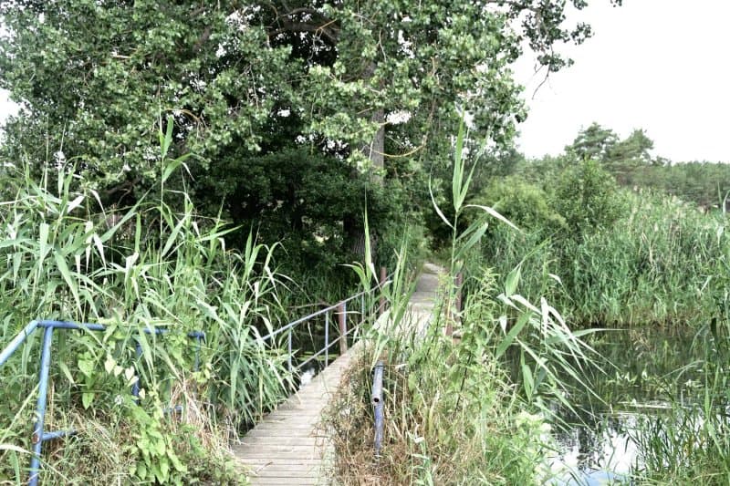 Pontonbrucke Uber Die Stremme