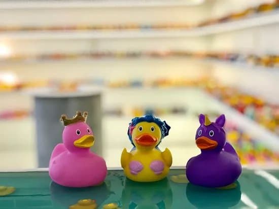 Limassol Duck Store