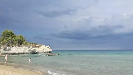 Lido Scogliera Bianca