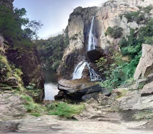 Piscia di Gallu