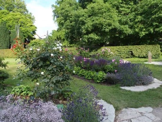 Botaniska Tradgarden