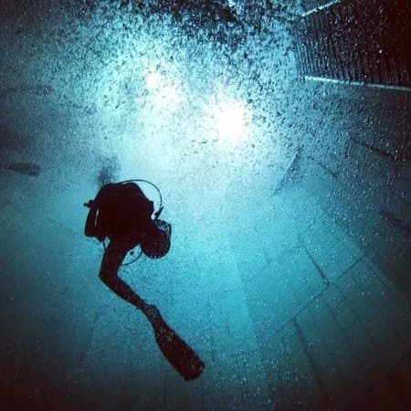 Nemo 33