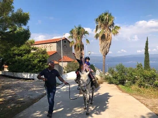 Argyris Horses
