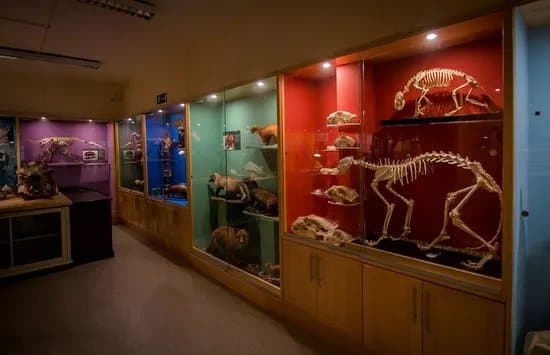 TCD Zoological Museum