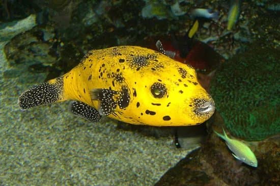 Tropicarium-Oceanarium