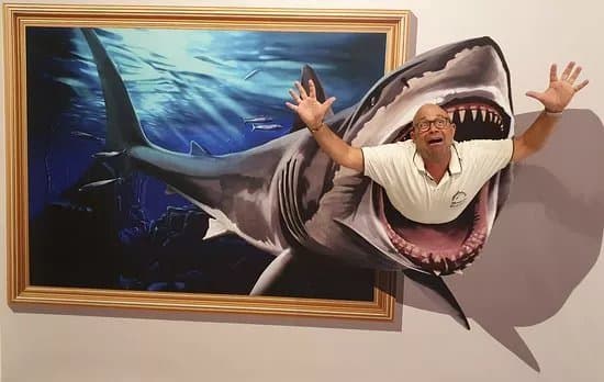 3D Fun Art Museum