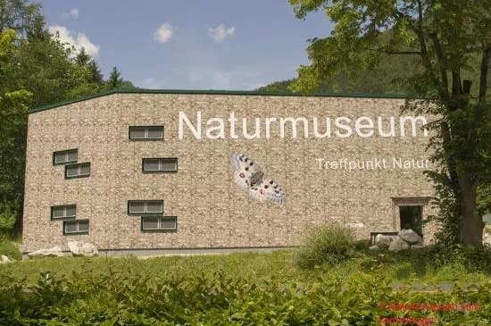 Naturmuseum Salzkammergut - Treffpunkt Natur