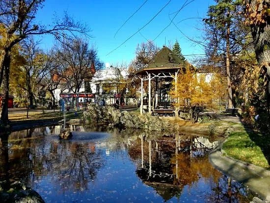 Ion Voicu Park
