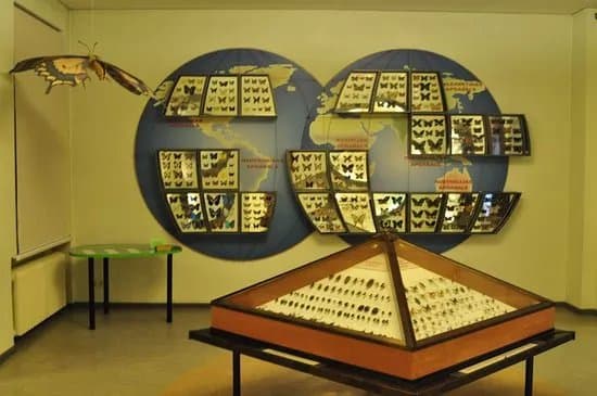 The Latvian Museum of Natural History