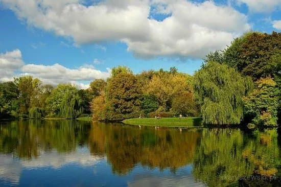Skaryszewski Park