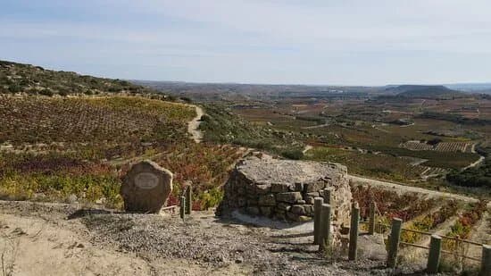 Bodegas Loli Casado