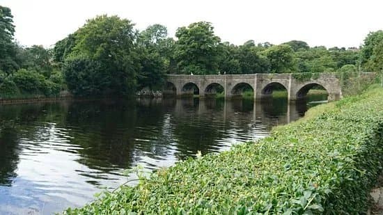 Swan Park