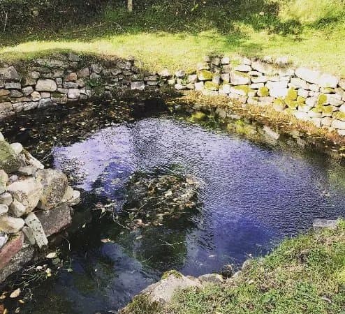 Wether's Well