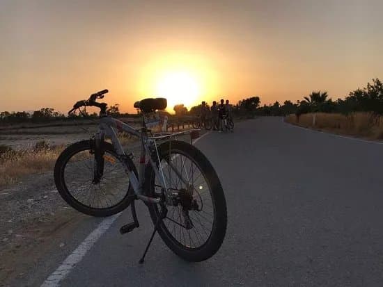 Sunny Cycles Guided Bike Tours