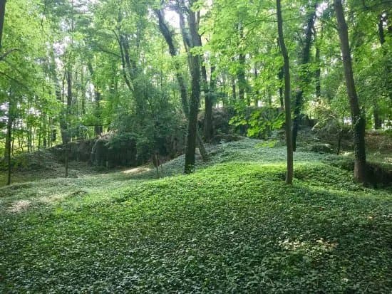 Park na Kamiennej Gorze