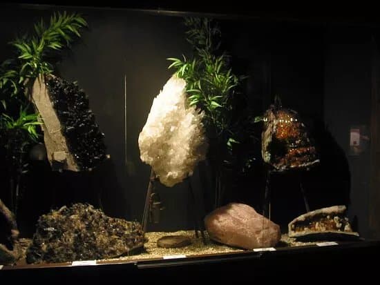 Treasures of the Earth
