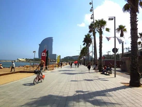 Playa de Sant Miquel