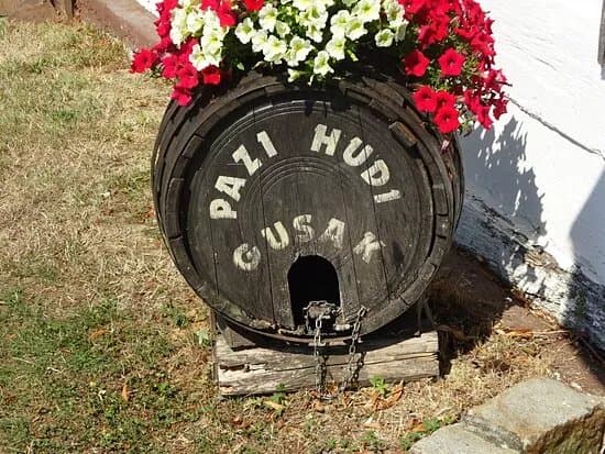 Muzej seljackih buna