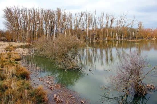 Parque Salburua