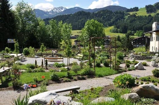 Hildegard von Bingen Garten