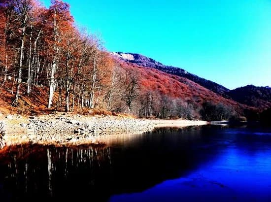 Biogradska Gora
