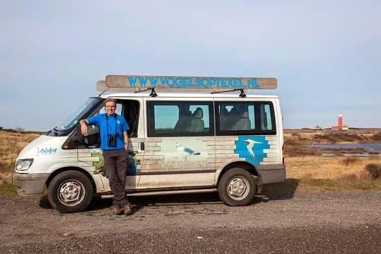 Calidris Birdsafaries
