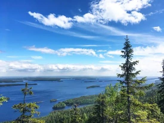 Ukko-Koli Hill