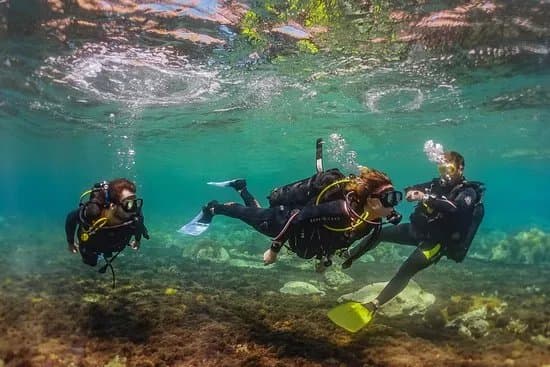 Mocean Images