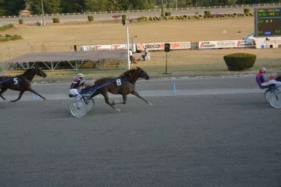 Ippodromo San Paolo