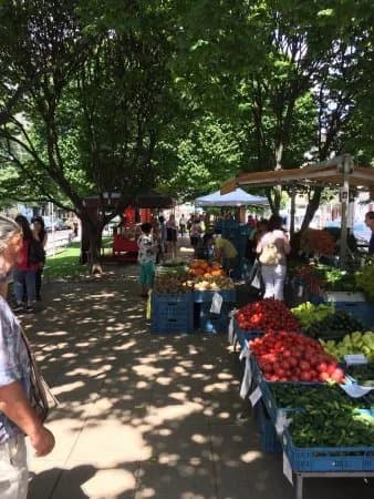 Tylak Farmers Market
