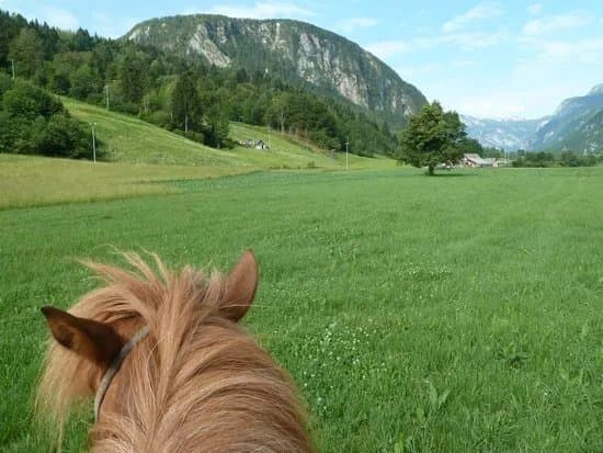 Mrcina Ranch