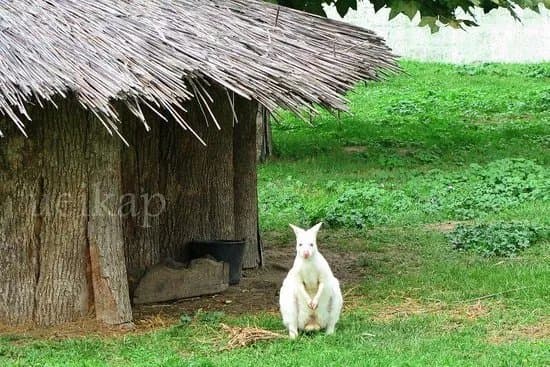 Osijek Zoo