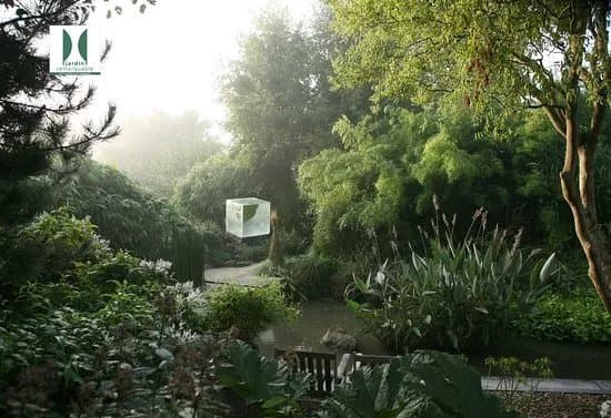 Jardin Interieur a Ciel Ouvert