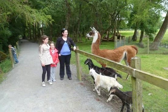 Turoe Pet Farm & Leisure Park