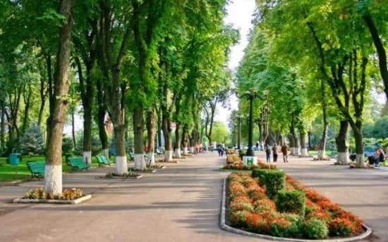 Parcul Copou
