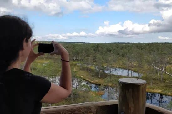 Private Tours in Estonia