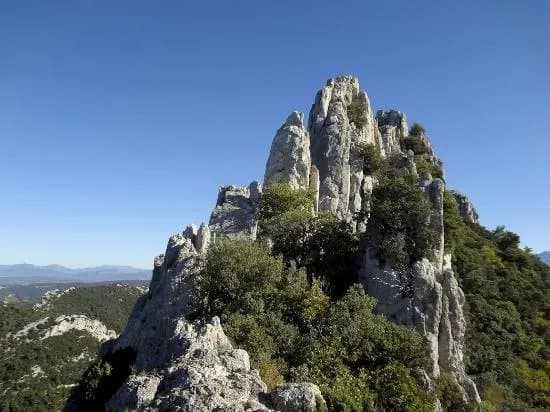 Dentelles De Montmirail
