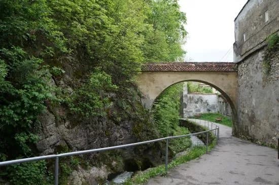 Bastionul Graft