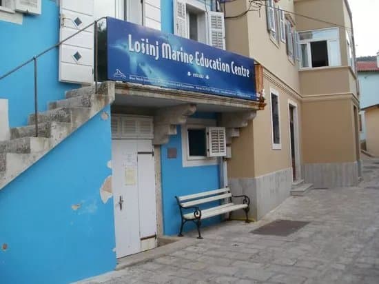 Blue World Institute