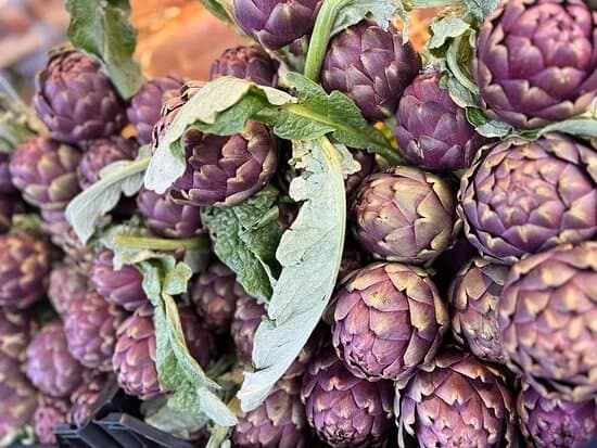 Acapulco Fruit Manzano