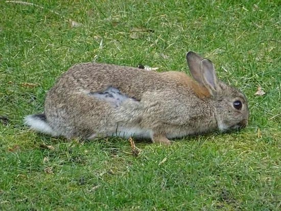 Kinderboerderij de Naturij
