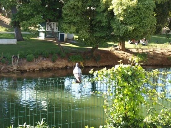 Jardim da Quinta da Alagoa