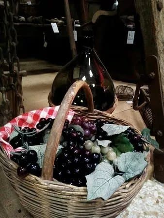 Museo della Civilta del Vino