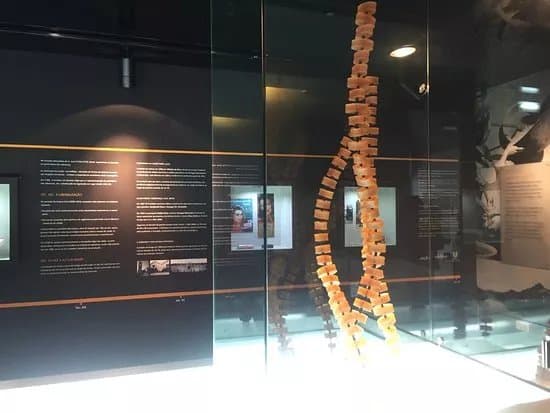 Museu do Sabao