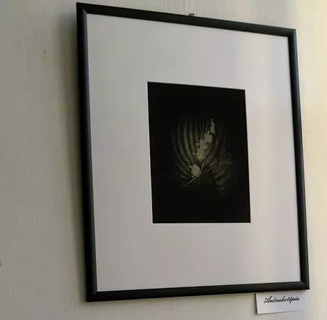 Galeria Limes