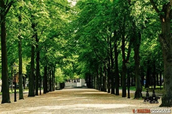 Lange Voorhout