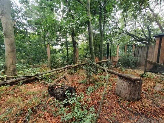 Heimattiergarten Schonebeck "Bierer Berg"